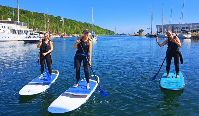 SUP BOARD UDLEJNING